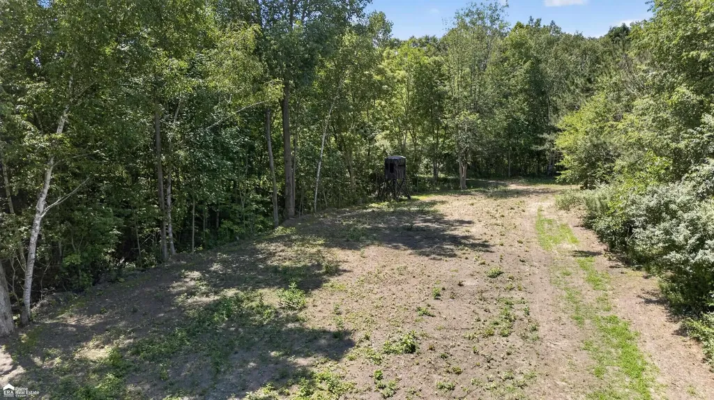 5498 Piersonville Road Marathon Township MI 48421