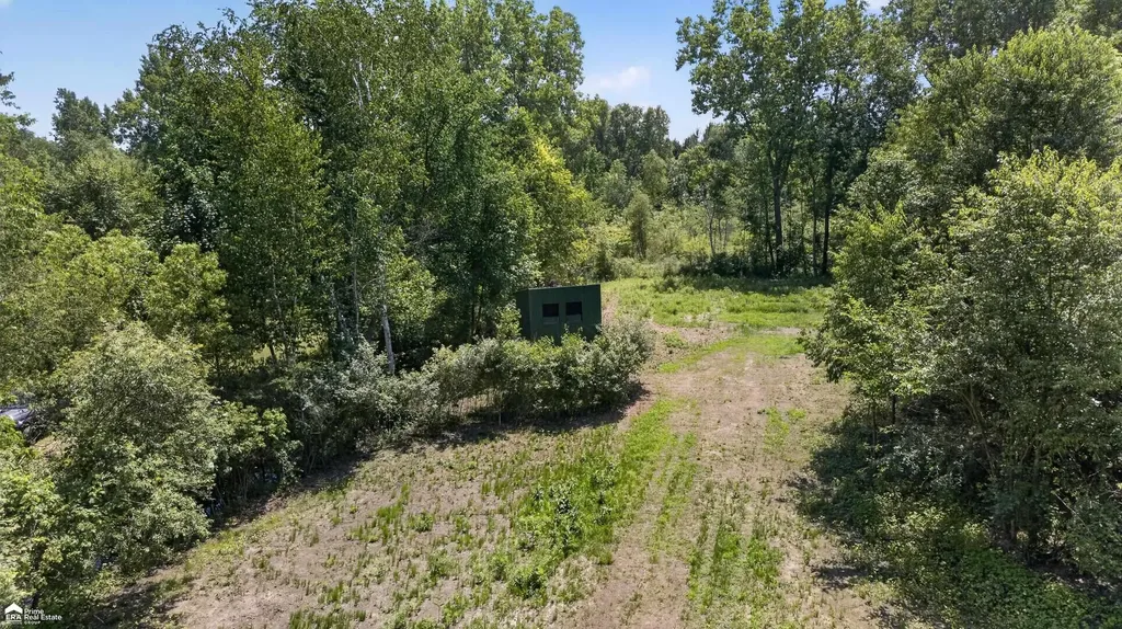 5498 Piersonville Road Marathon Township MI 48421