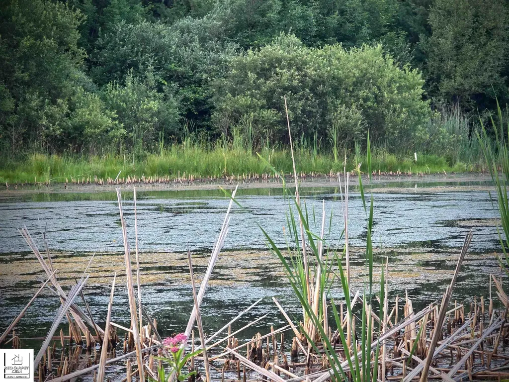 5320 Piersonville Road Marathon Township MI 48421
