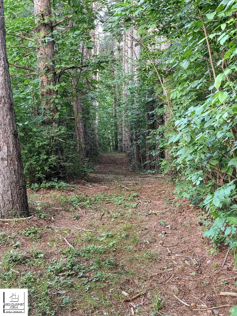 5320 Piersonville Road Marathon Township MI 48421