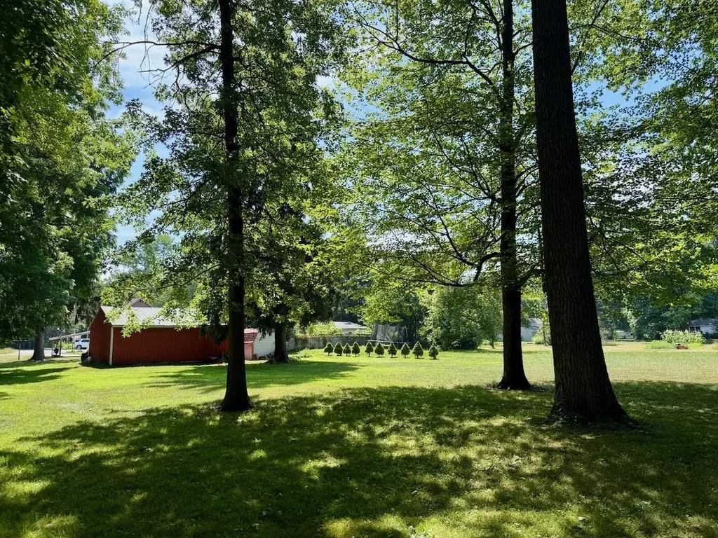 623 N Line Street Chesaning Village MI 48616
