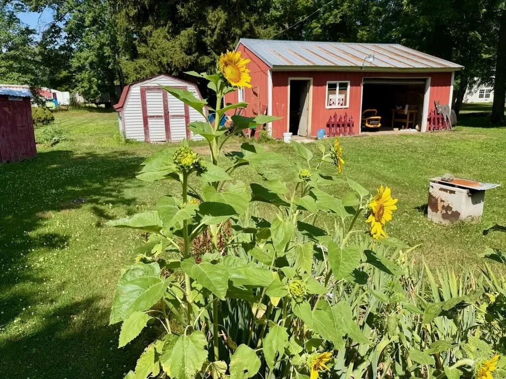 623 N Line Street Chesaning Village MI 48616