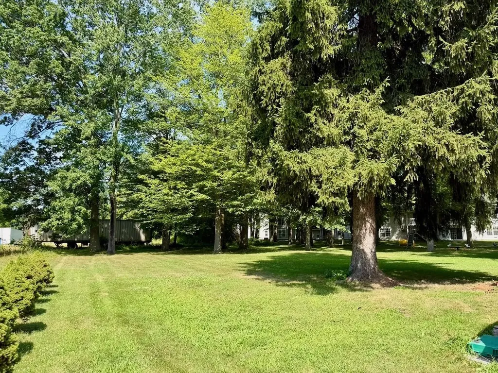 623 N Line Street Chesaning Village MI 48616