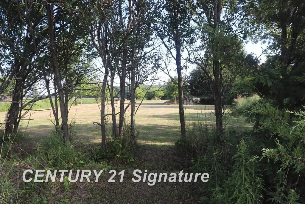 N Juddville Road Hazelton Township MI 48460