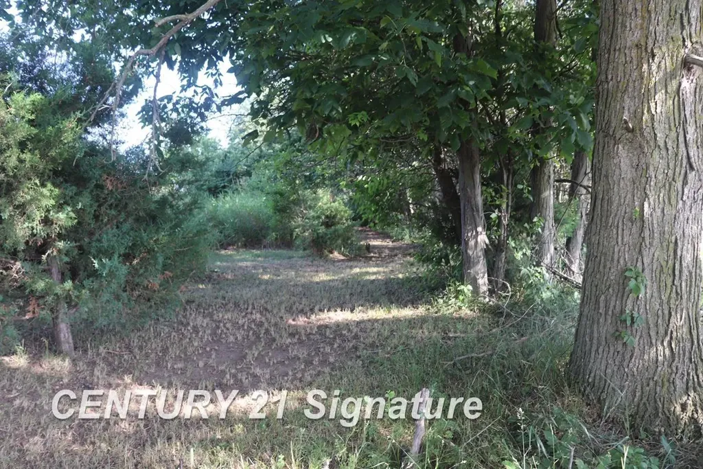 N Juddville Road Hazelton Township MI 48460