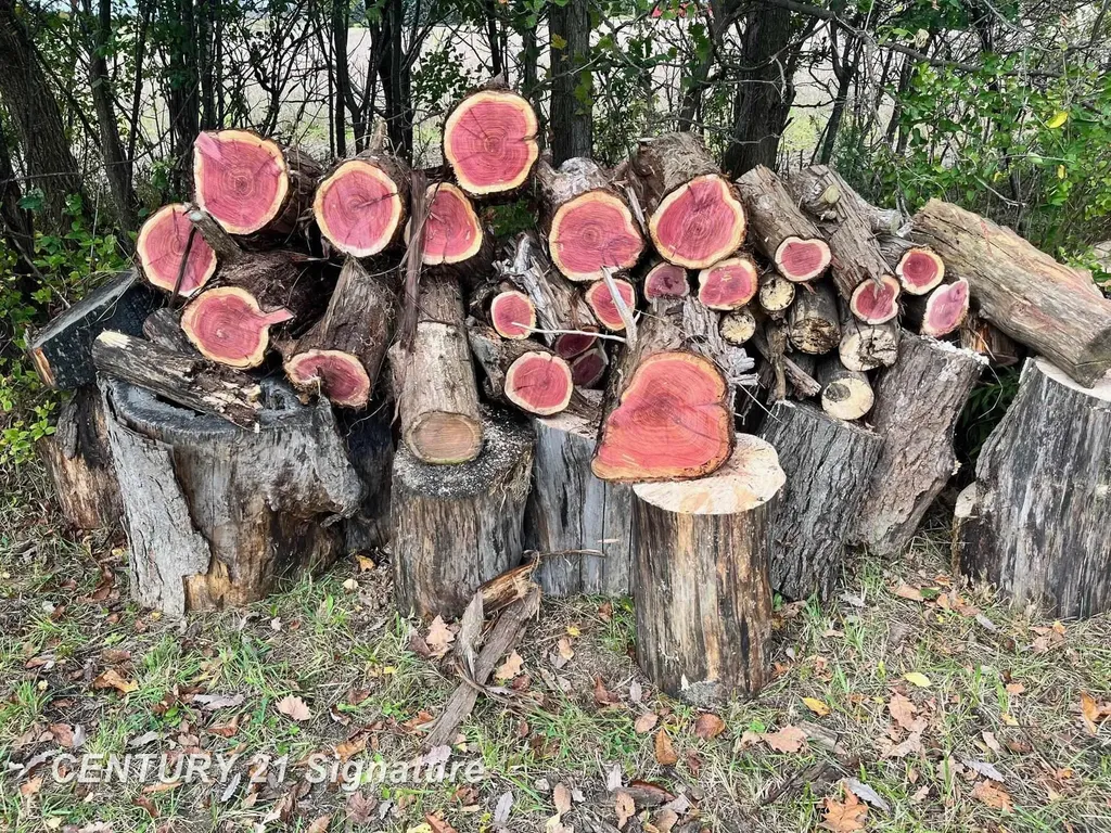 N Juddville Road Hazelton Township MI 48460