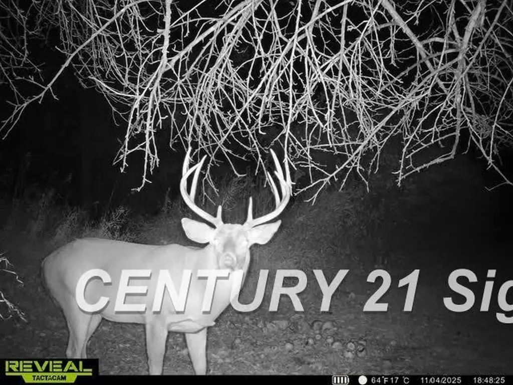 N Juddville Road Hazelton Township MI 48460