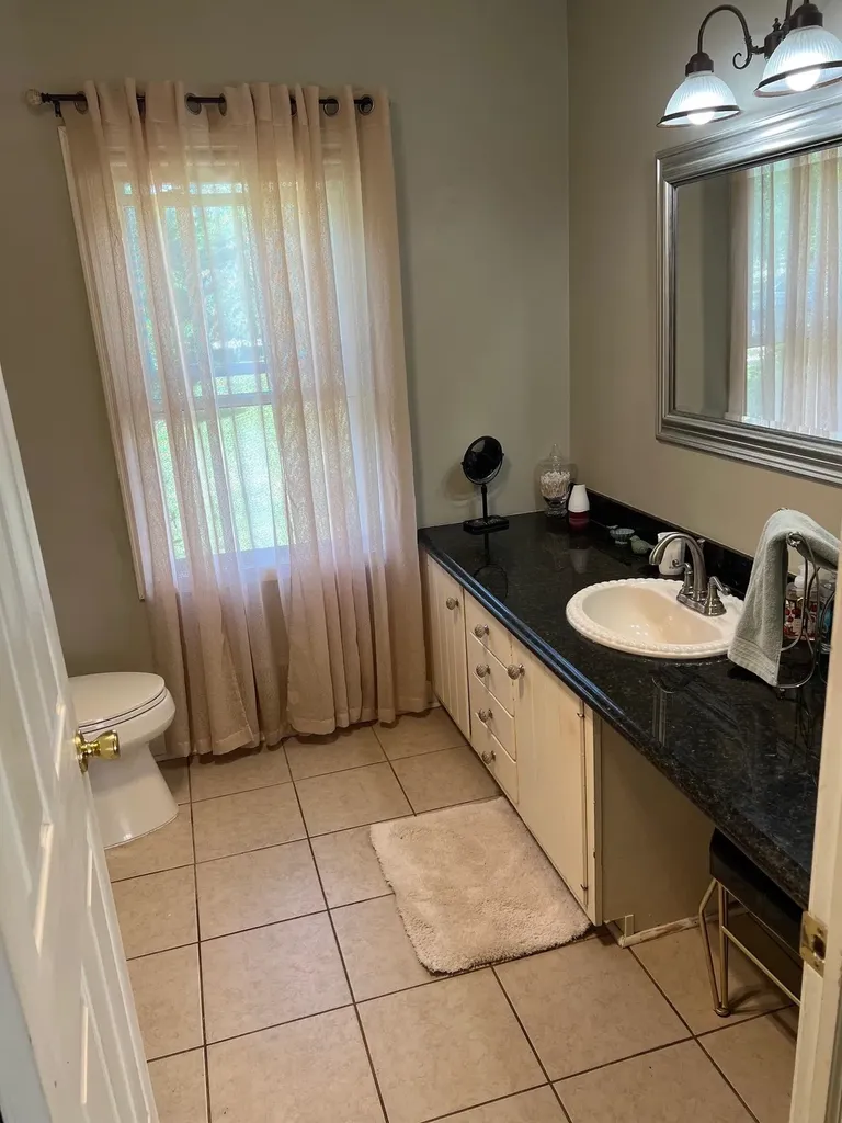 6617 Flushing Road Mt. Morris Township MI 48433
