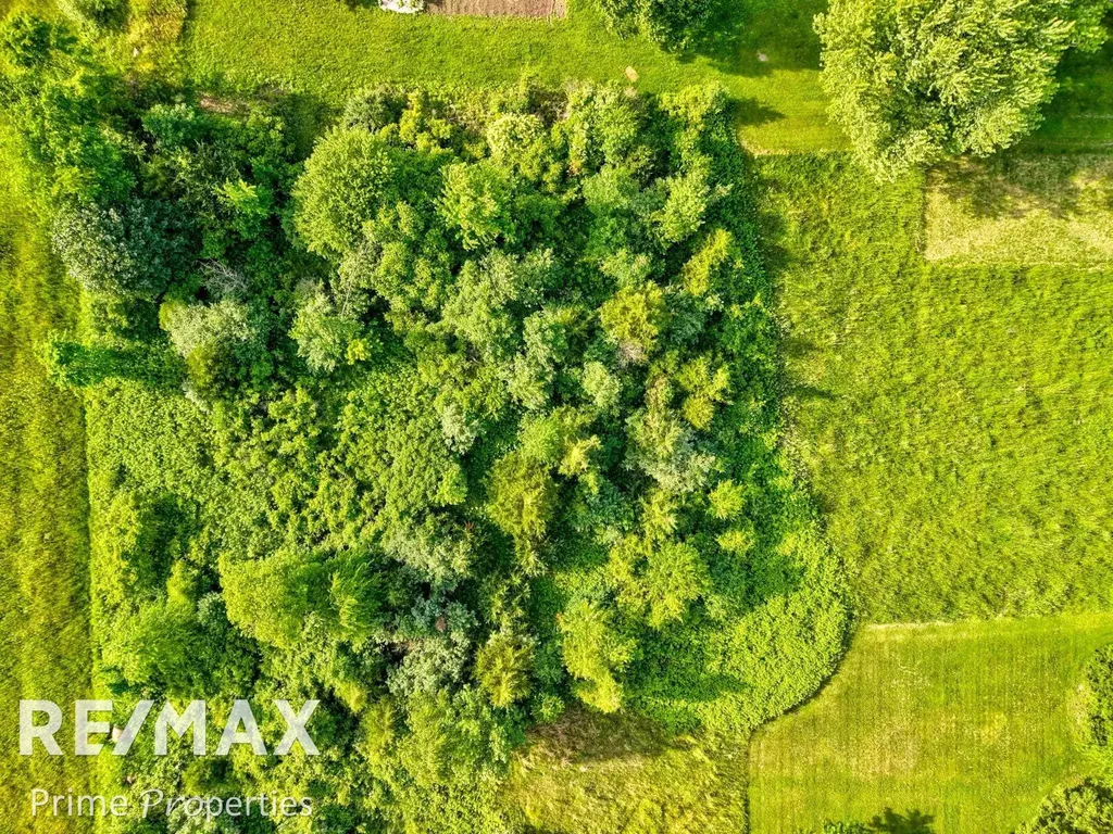 00 Oakley Road Brady Township MI 48616
