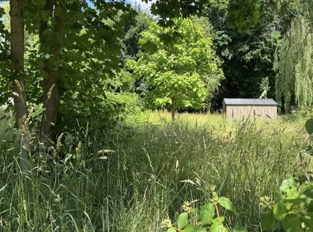 5424 Orleans Road Orleans Township MI 48865