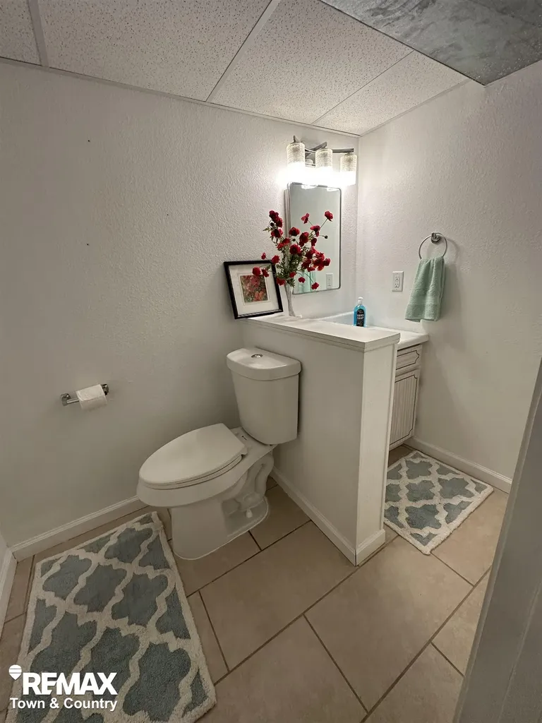 3109 Vineyard Lane Mt. Morris Township MI 48433
