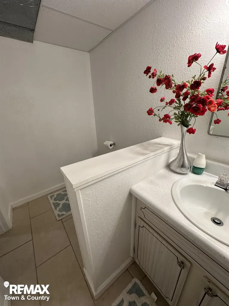 3109 Vineyard Lane Mt. Morris Township MI 48433