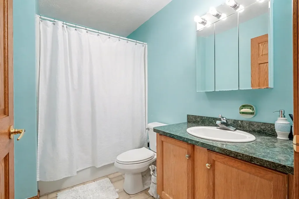 1190 Arthur Road Sheridan Township MI 49340