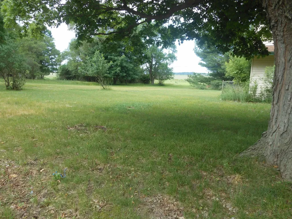 4950 Cottrell Road Tuscola Township MI 48768