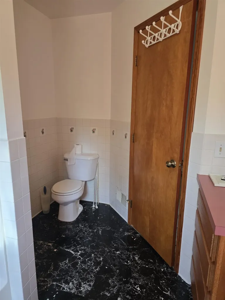 5691 Ormes Road Vassar Township MI 48768