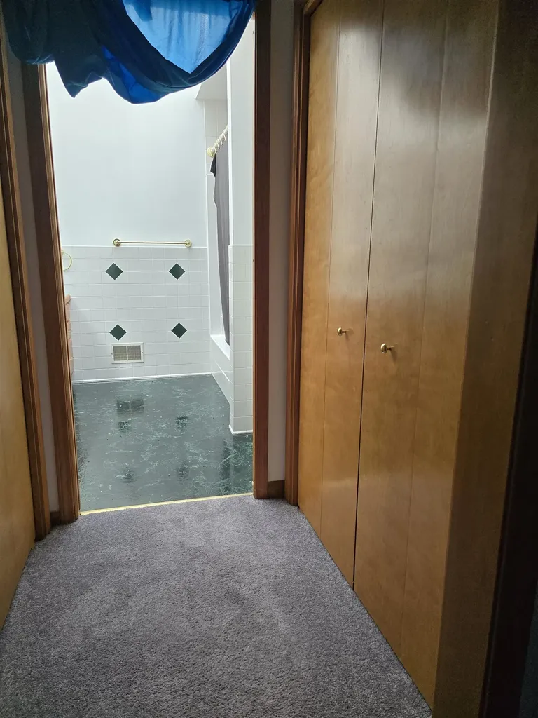 5691 Ormes Road Vassar Township MI 48768