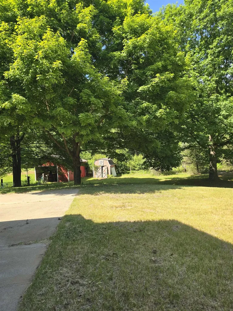 5691 Ormes Road Vassar Township MI 48768