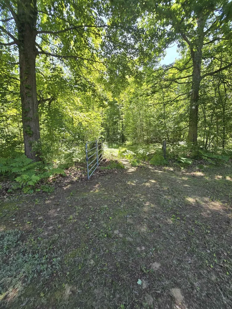 5691 Ormes Road Vassar Township MI 48768