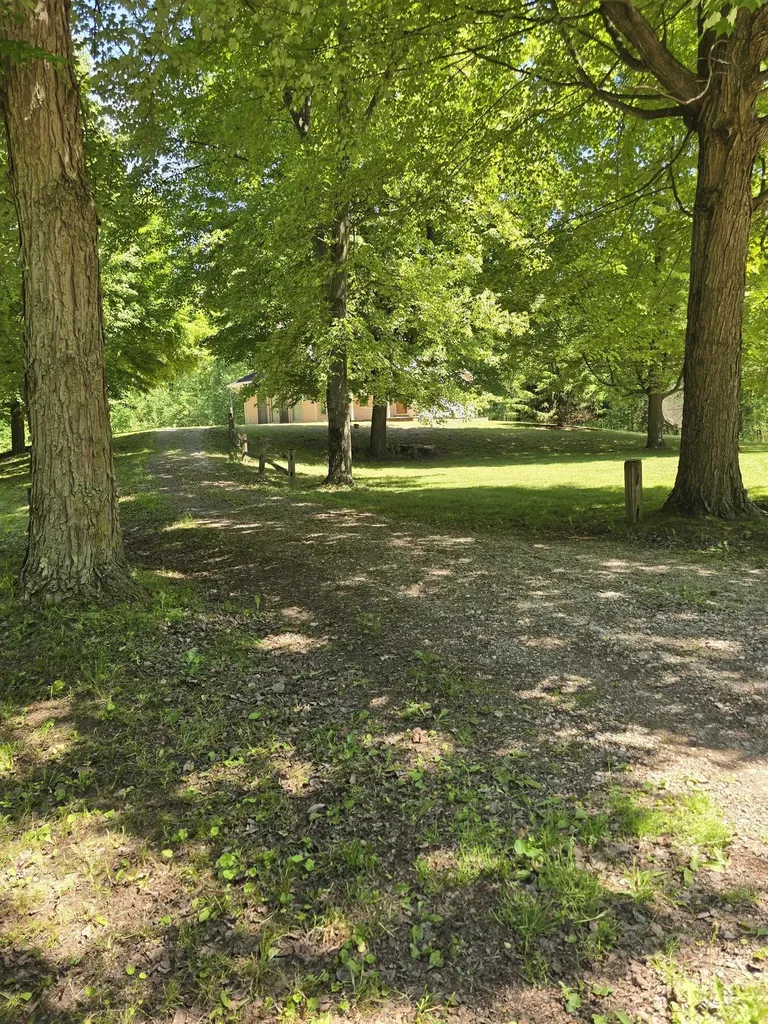 5691 Ormes Road Vassar Township MI 48768