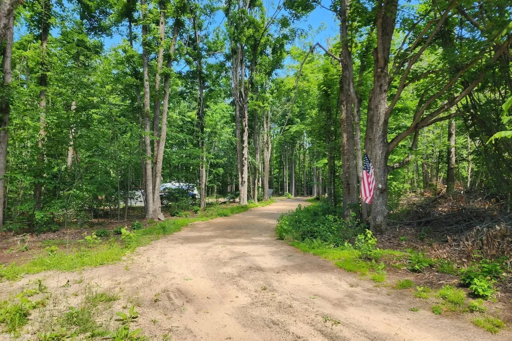 9955 Greenway Drive Maple Forest Township MI 49733