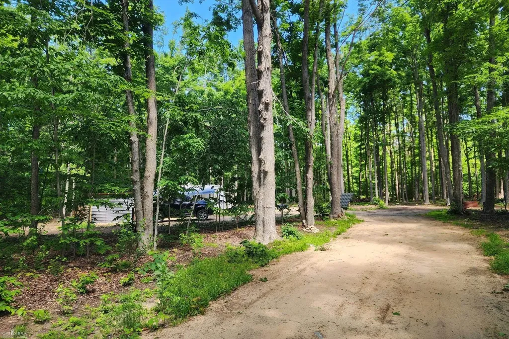 9955 Greenway Drive Maple Forest Township MI 49733
