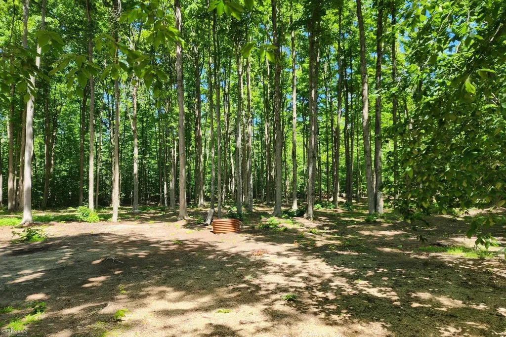 9955 Greenway Drive Maple Forest Township MI 49733