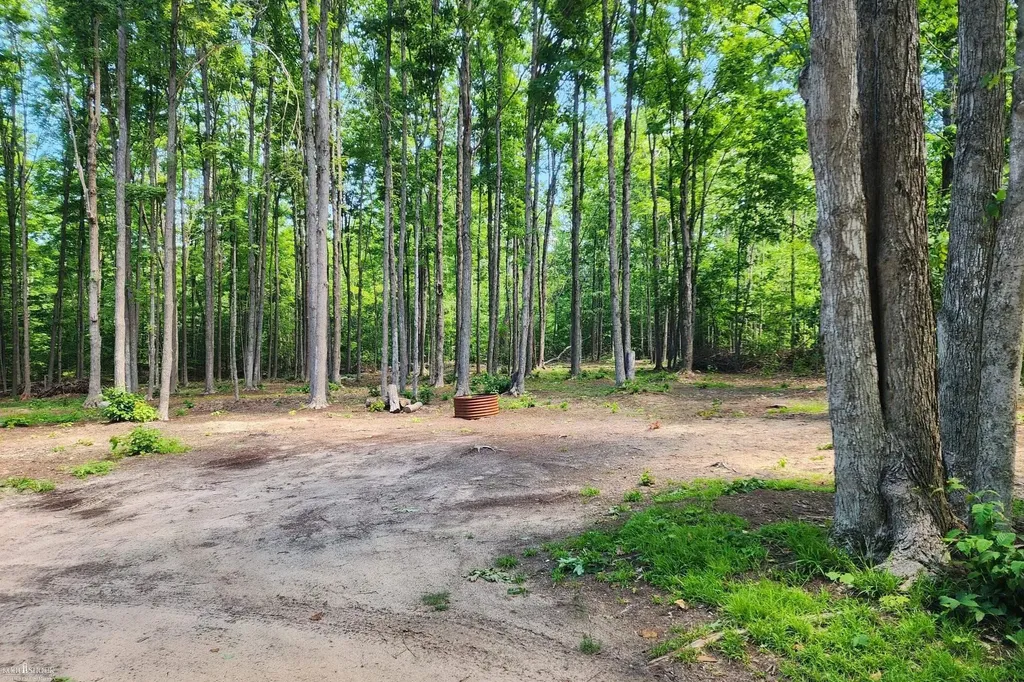 9955 Greenway Drive Maple Forest Township MI 49733