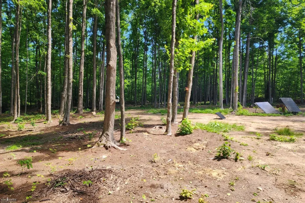 9955 Greenway Drive Maple Forest Township MI 49733
