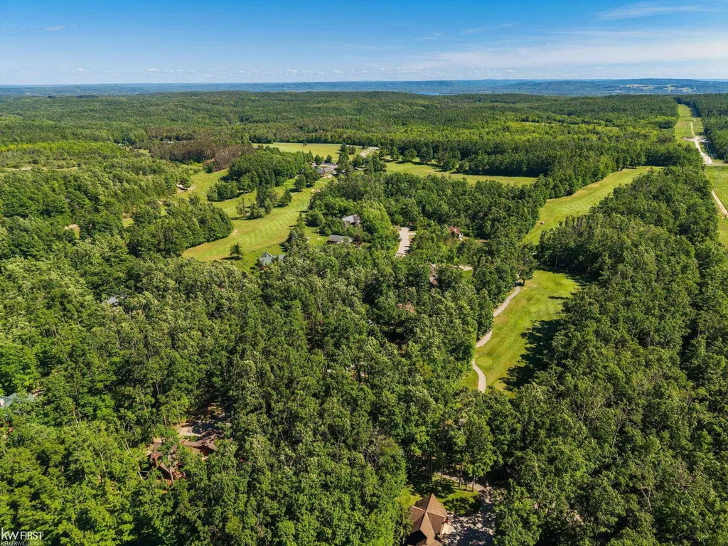 1580 Blackberry Trail Pleasantview Township MI 49740