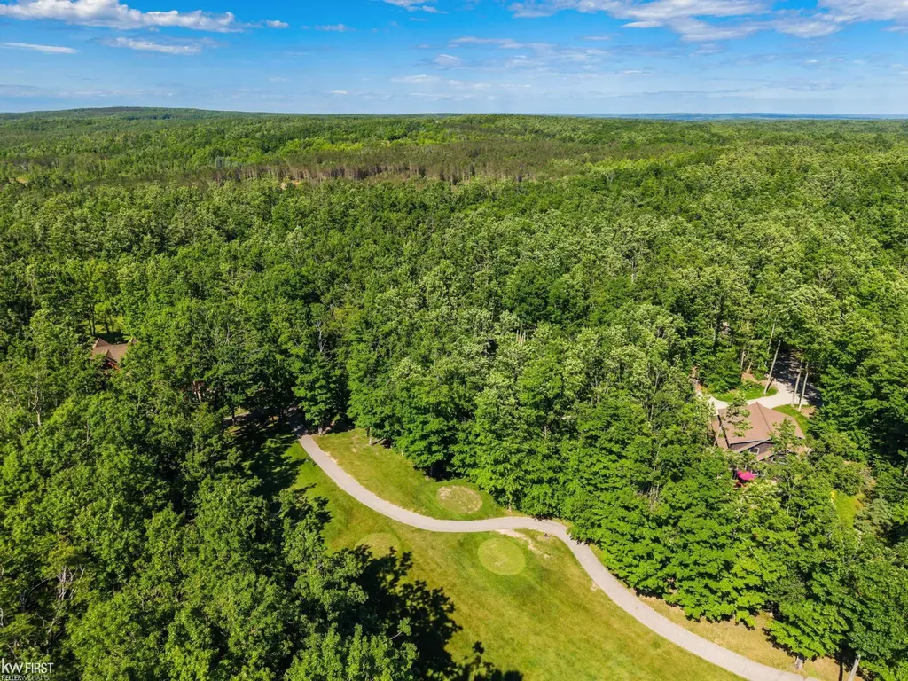 1580 Blackberry Trail Pleasantview Township MI 49740