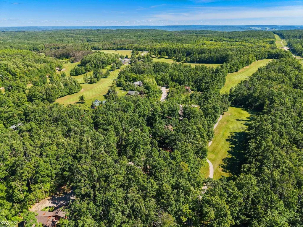 1580 Blackberry Trail Pleasantview Township MI 49740