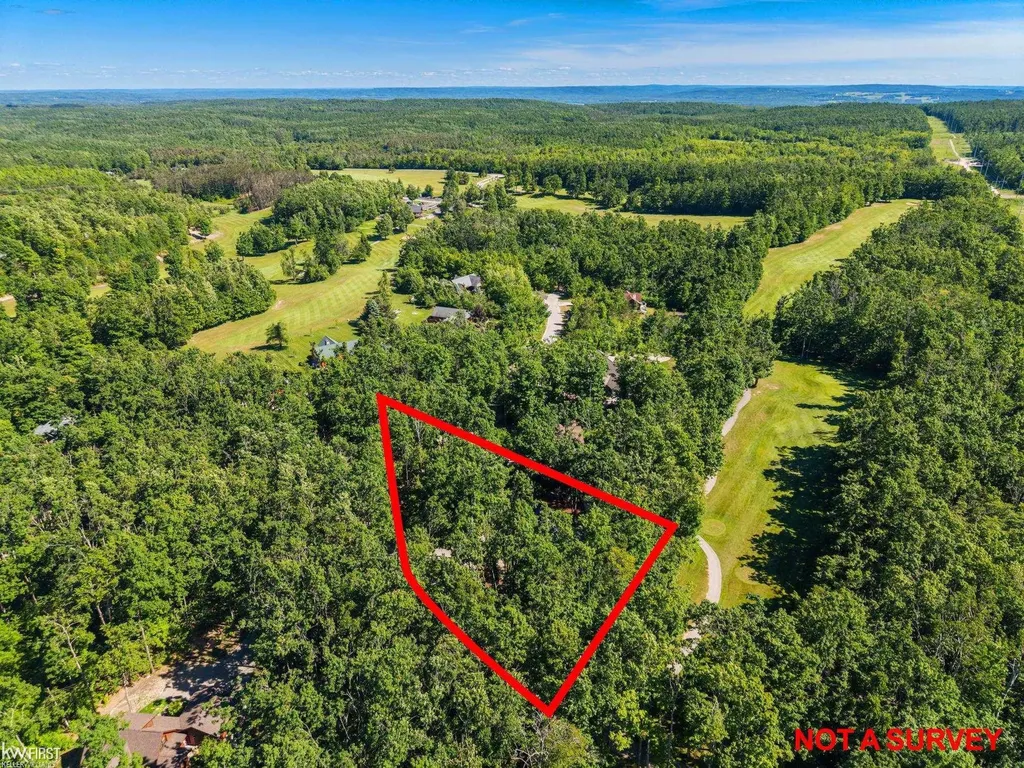1580 Blackberry Trail Pleasantview Township MI 49740