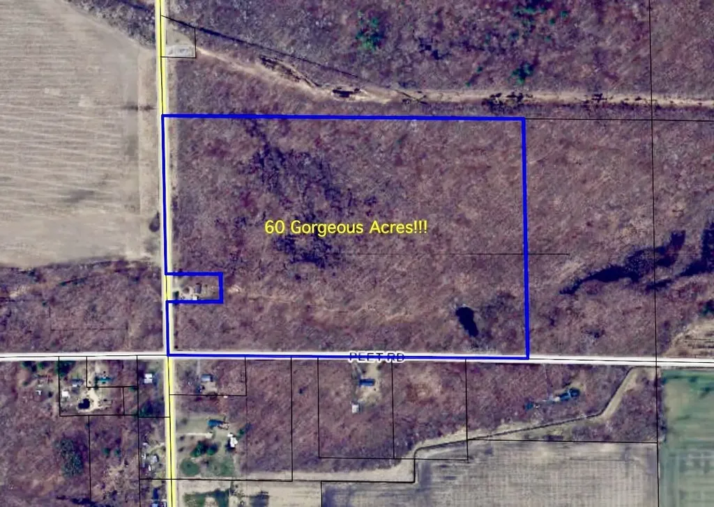Chapin V/l Road Chapin Township MI 48831