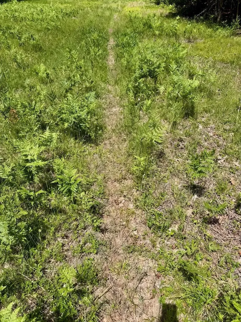 Chapin V/l Road Chapin Township MI 48831