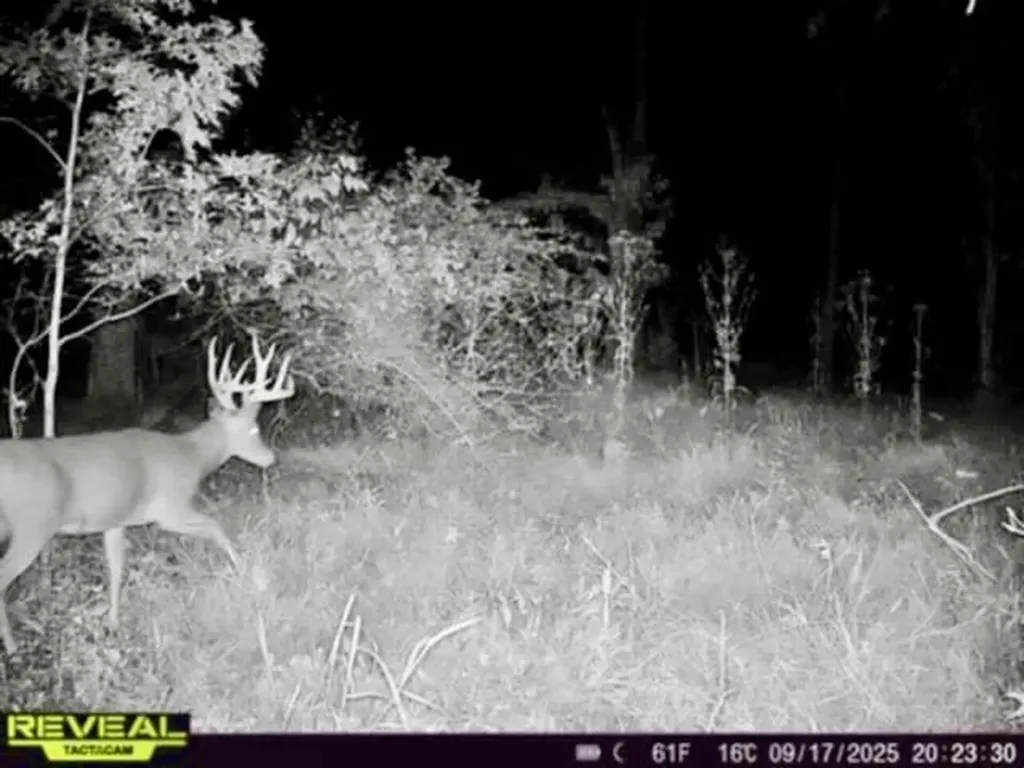 Chapin V/l Road Chapin Township MI 48831