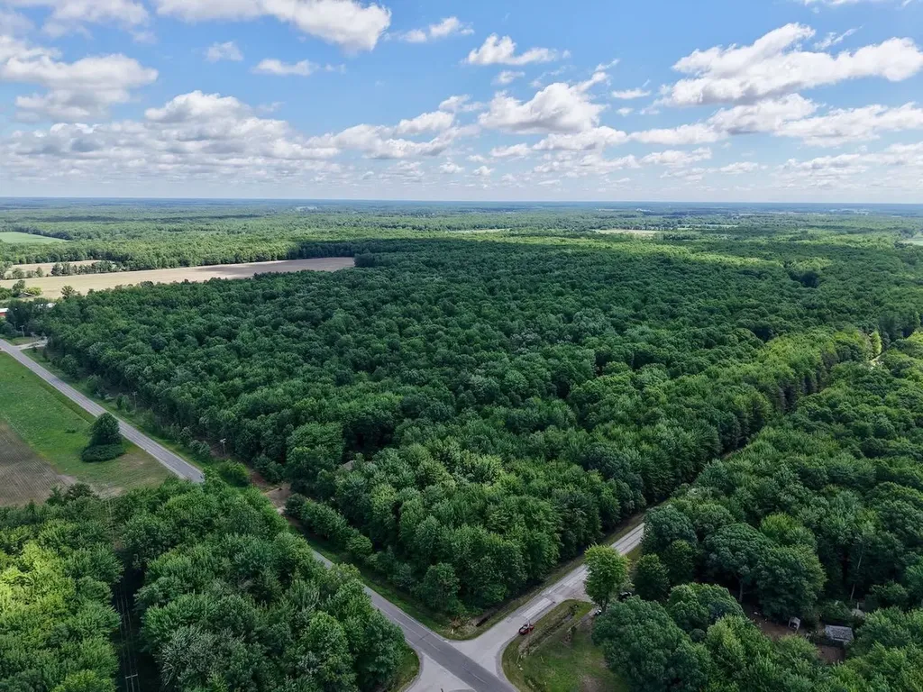 Chapin V/l Road Chapin Township MI 48831