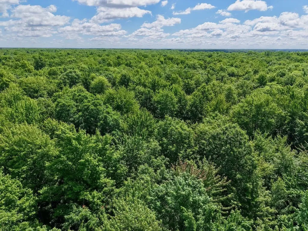 Chapin V/l Road Chapin Township MI 48831