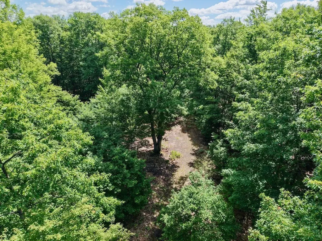 Chapin V/l Road Chapin Township MI 48831