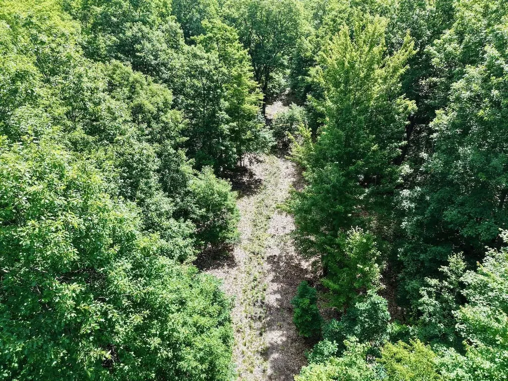 Chapin V/l Road Chapin Township MI 48831