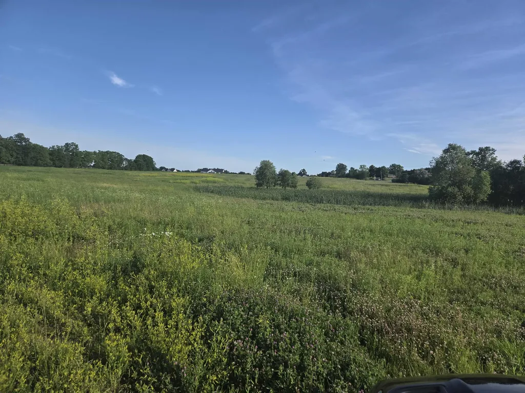 13015 Linden Road Fenton Charter Township MI 48451