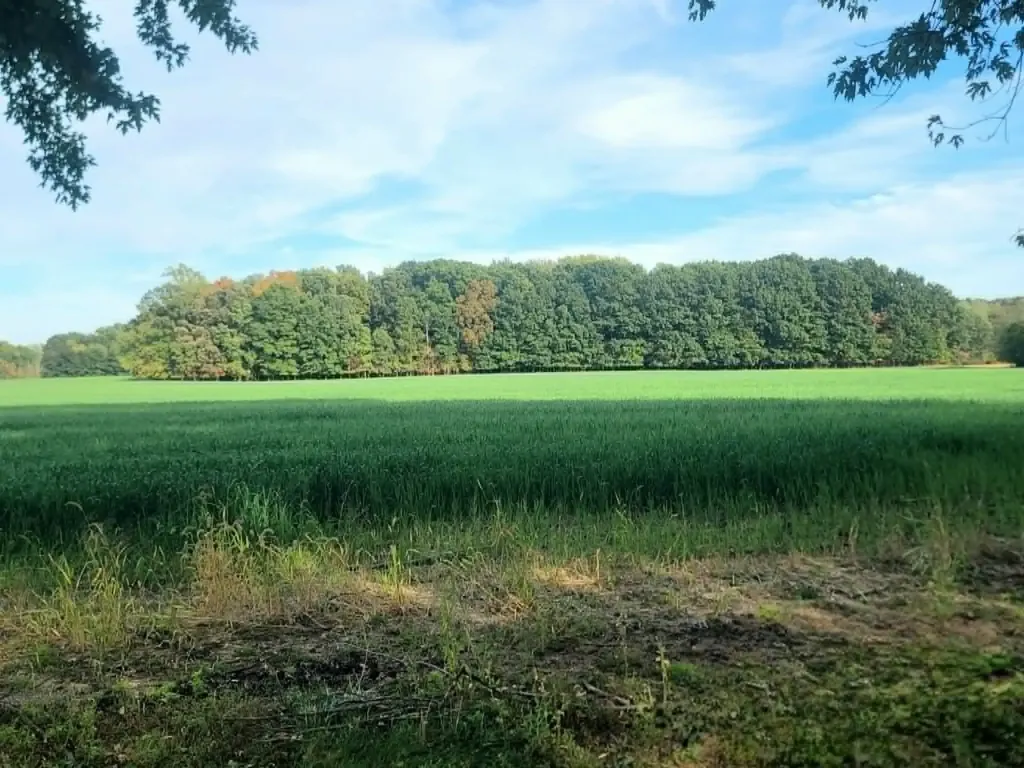 8273 Van Vleet Road Gaines Township MI 48436