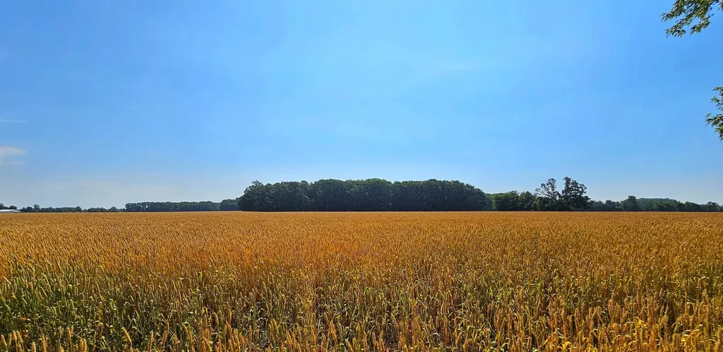 8273 Van Vleet Road Gaines Township MI 48436
