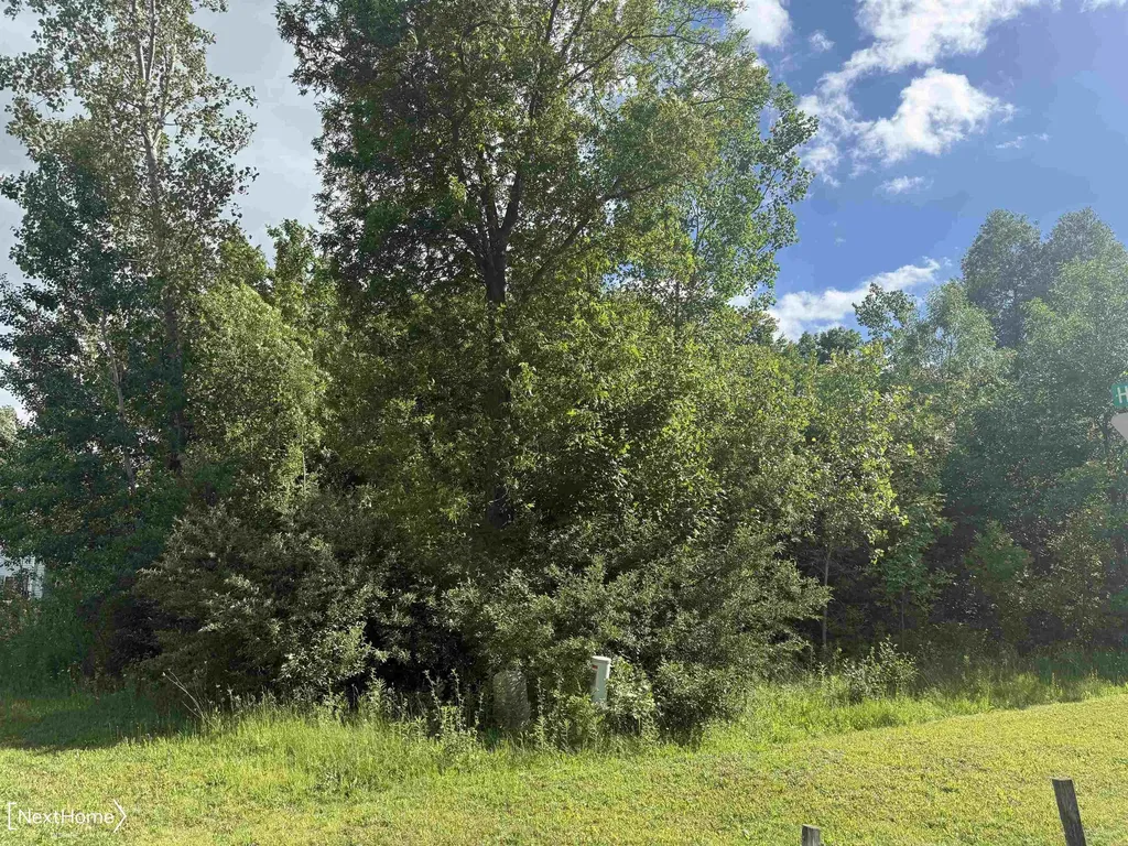 Vl Lot 53 Willow Trail Grand Blanc Charter Township MI 48439