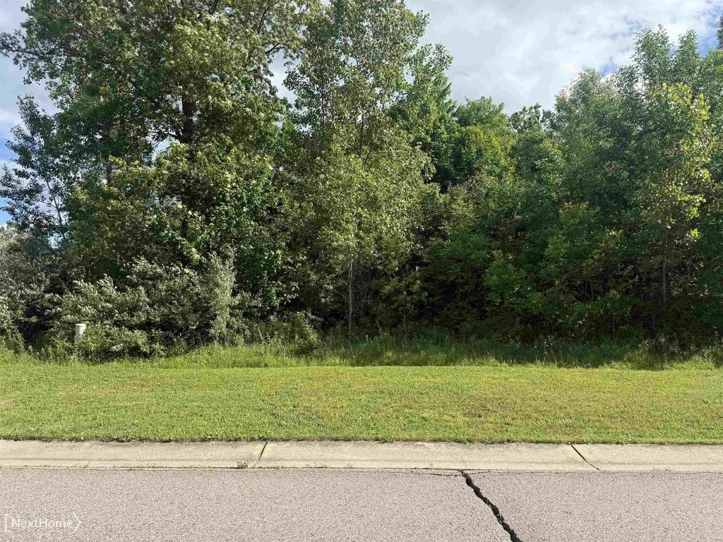 Vl Lot 53 Willow Trail Grand Blanc Charter Township MI 48439