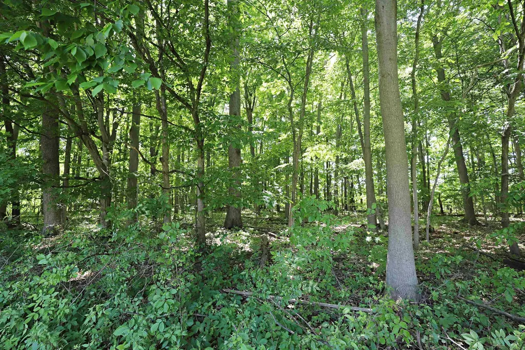 6285 Chicago Road Mt. Morris Township MI 48433