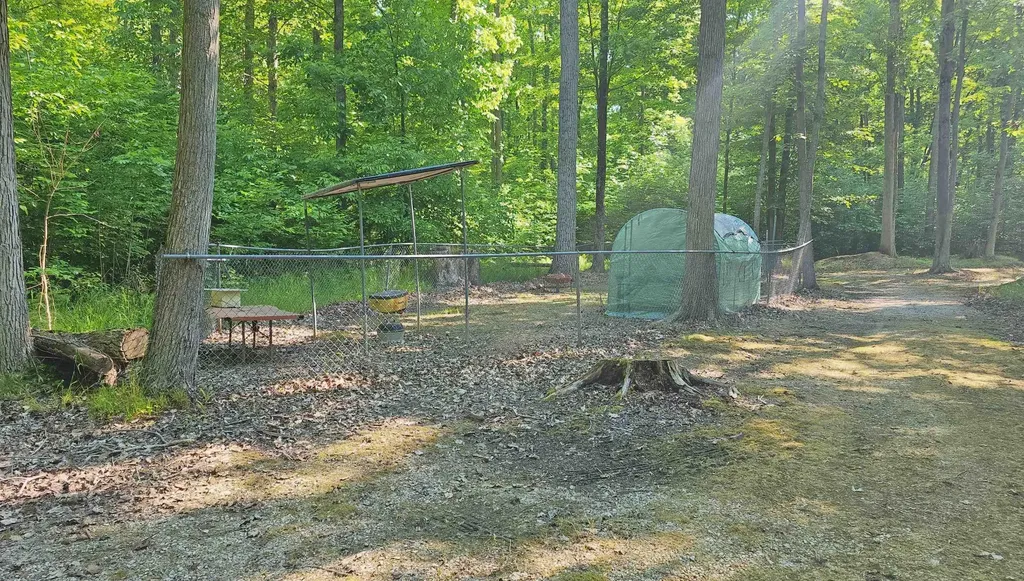 9270 Morrish Road Montrose Charter Township MI 48457