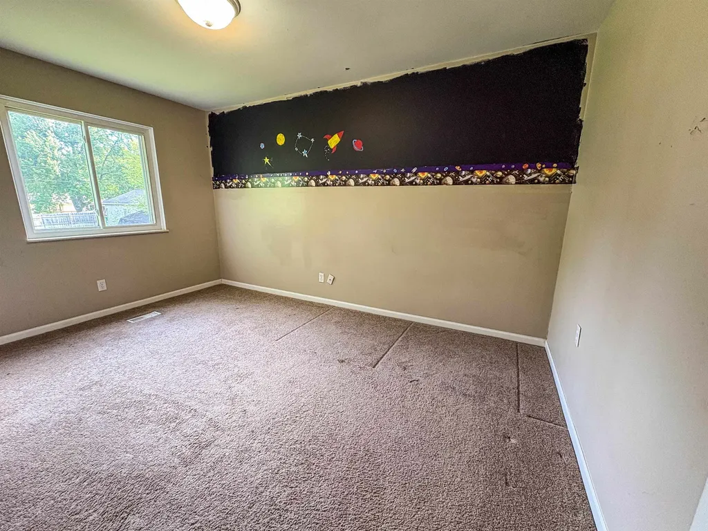 343 Beach Street Mt. Morris City MI 48458