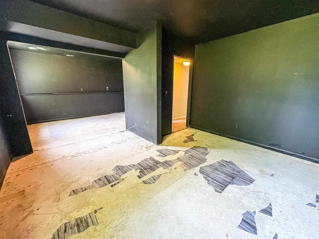 343 Beach Street Mt. Morris City MI 48458