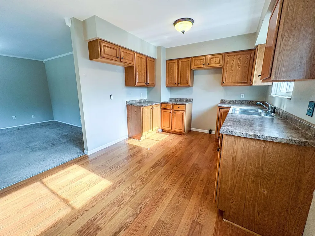 343 Beach Street Mt. Morris City MI 48458