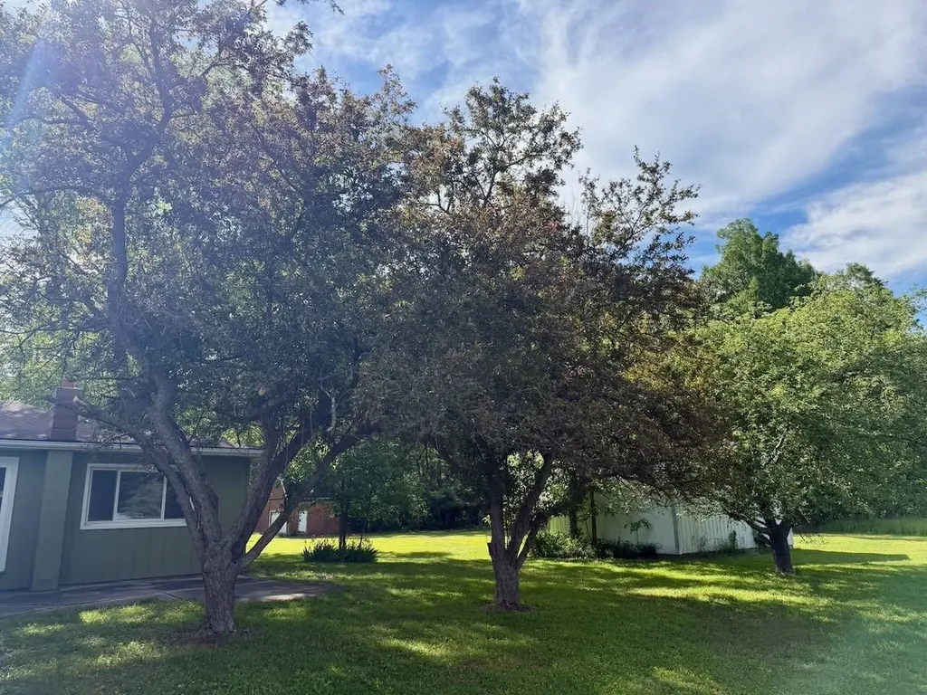 6232 Baker Road Bridgeport Charter Township MI 48722